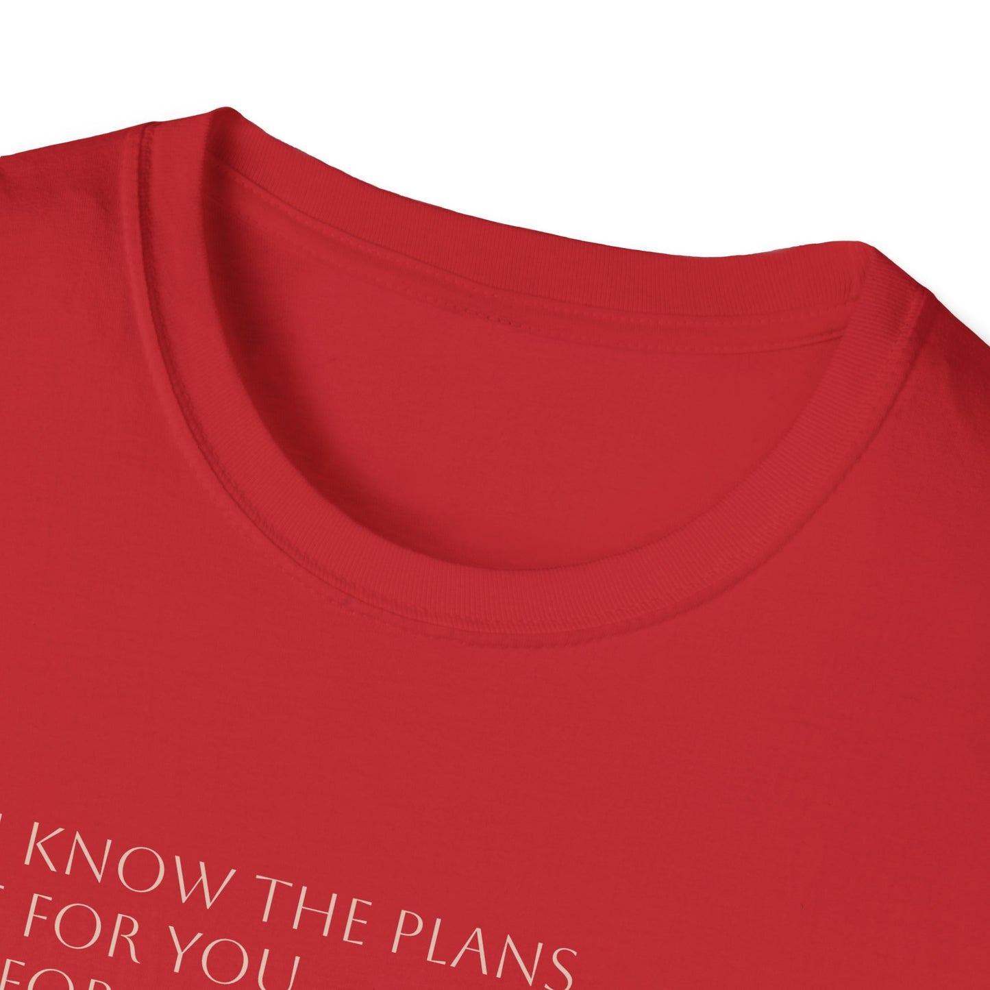 Virgin Mary Floral Back Tee — Jeremiah 29:11 Scripture Prayer T-Shirt