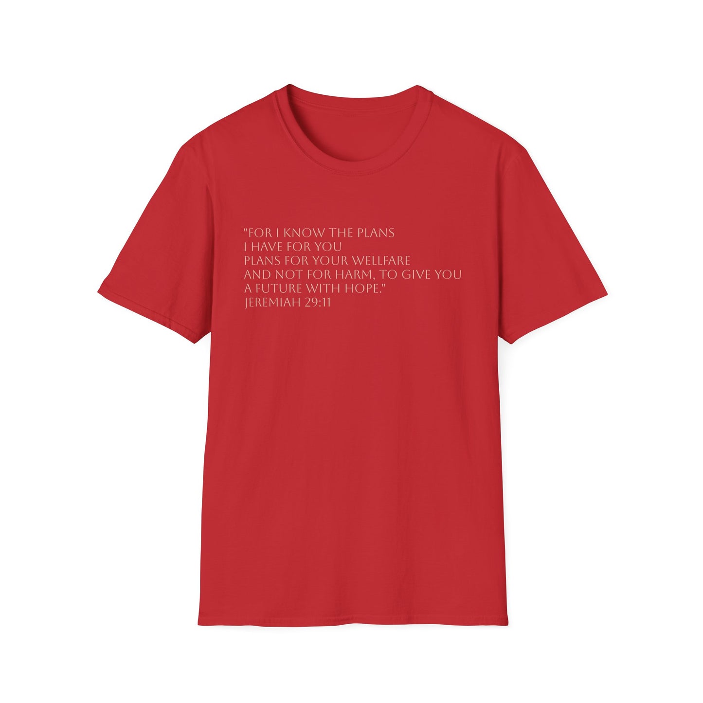 Virgin Mary Floral Back Tee — Jeremiah 29:11 Scripture Prayer T-Shirt